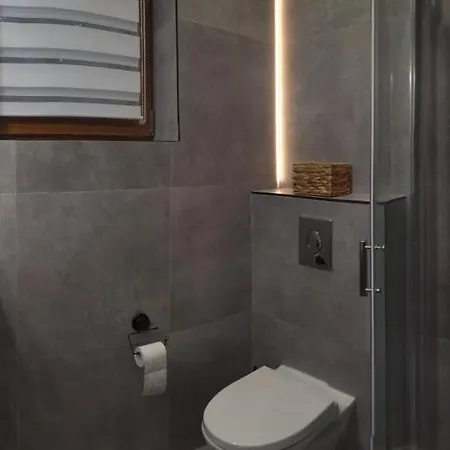 Dağ evi Goralski U Basisty Poronin